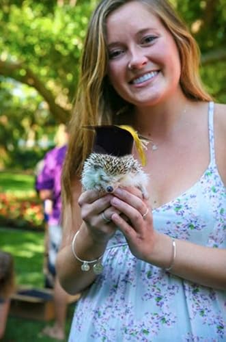 Miniatura 6 de Pequeños gorros de graduación con borla brillante para cobayas, erizos, pájaros, tortugas, hámsteres, dragones con barba, conejos, hurones,