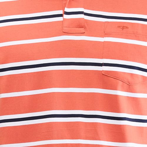 Image of Colorplus Men's Classic Fit Stripe Pattern Pure Cotton Half Sleeve Polo Neck Casual T-Shirt