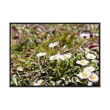 Tableau encadré et prêt à être accroché avec kit de suspension facile (y compris fixation en fer et vis).