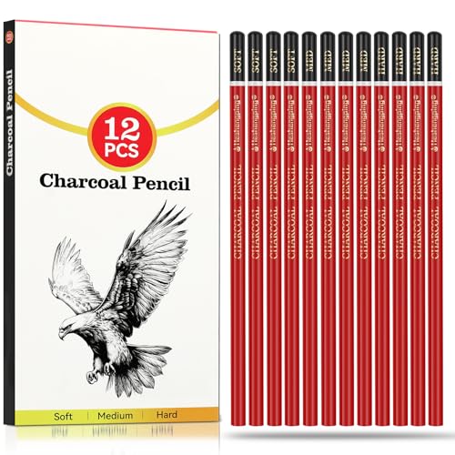Charcoal Pencils Drawing Set (12 Pieces)