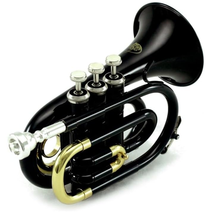 Sky Band Approved Brass Bb Pocket Trumpet with Case, Cloth, Gloves and Valve Oil (Black)