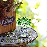 Zoom IMG-1 h d hyaline dora statuetta Zoom IMG-1 h d hyaline dora statuetta