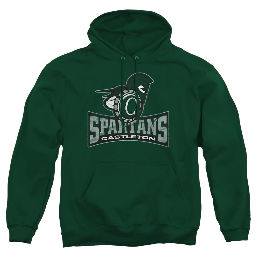 LOGOVISION Official Collegiate Distressed Primary Logo Adult Pullover Hoodie Collection — view 326