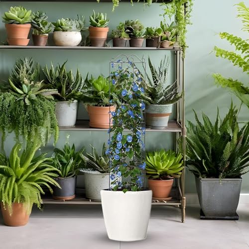 Rejilla para plantas en maceta de hierro apta para flores y verduras de interior 4