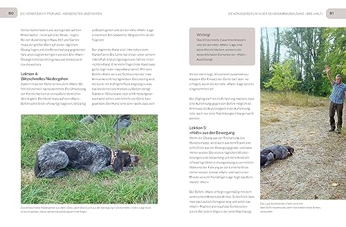 Der Jagdgebrauchshund-Jährling: Sicher durch die Anlagenprüfungen: Empfohlen vom Jagdgebrauchshundverband (BLV Jagdhunde)