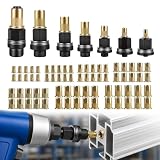 77 Stück Nietmutternzange Set, Einpressmuttern Nietenzange Nietmuttern Set Nieten für M3 M4 M5 M6 M8 M10 M12 mit Muttern, Blindnietmutter Entworfen für Nietmutter Werkzeug Manuelle Nietmaschine
