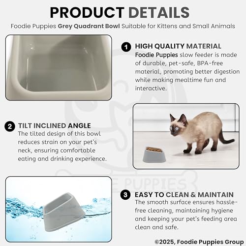Image of Foodie Puppies Cat Food and Water Feeder - 150ml (Grey Quadrant, Pack of 2) | Durable, Anti Vomiting, Healthy Cat Bowl for Persian Cat Prevent Tipping Over | Elevated Feeder for Cats and Small Dogs