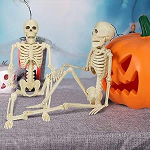 Brown Leaf Pack of 2 Halloween Human Full Body Skeleton Skull with Movable Posable Joints