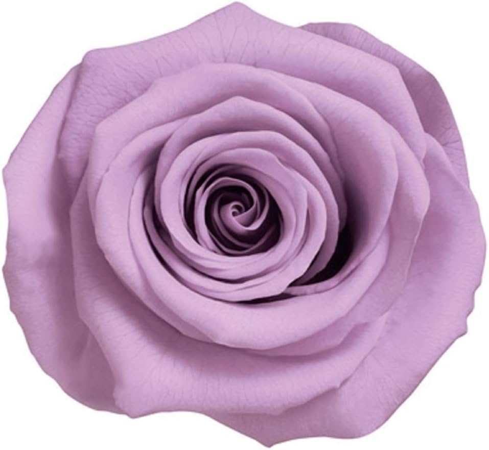 Millennium Art Lilac Vermeilles Mona Lisa 3 Lined