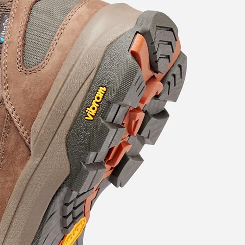 Image of Vasque Men's Talus Low Waterproof Hiking Shoe