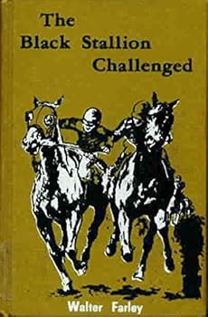 The Black Stallion Challenged