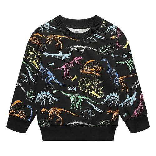 Image of Popshion Toddler Boys Sweatshirt Cotton Lightweight Kids Winter Warm Sweater Crewneck Pullover Tops
