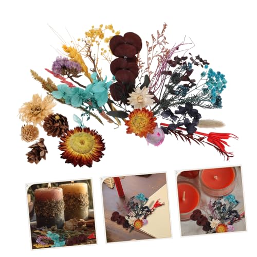 Mini flores secas prensadas para manualidades y decoración miniatura 4