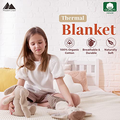 Mayfair Linen Knitted Geometric Herringbone Pattern Handwoven Blanket 100% Long Staple Cotton - Soft & Cozy Thermal All Season Throw For Bed Couch Chair Outdoors (Twin/Twin Xl, Sage Green) #TOP1