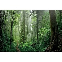 Foggy Forest Halloween Photo Backdrop 10x8ft Dark Misty Woods Halloween Party Birthday Backdrop Photography Horror Foggy Forest Background Kids Halloween Trunk Or Treat Backdrop Picture Decorations