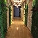 Jardín Vertical Artificial Pared Césped Planta Flor Cesped Plantas Guirnalda Decorativa para...