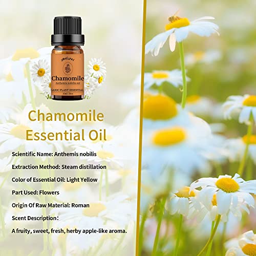 Yethious Chamomile Essential Oil Bundle With Geranium Essential Oil For Diffuser 10Ml Geranium Essential Oils Organic Gift 10Ml Geranium Aromatherapy Oil Geranium Fragrance Oil For Soap, Candle Making #TOP3