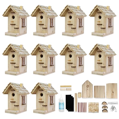 Premium Wooden Bird House KitsBirdhouse Kits For KidsSet Of 10 Birdhouse Kits For