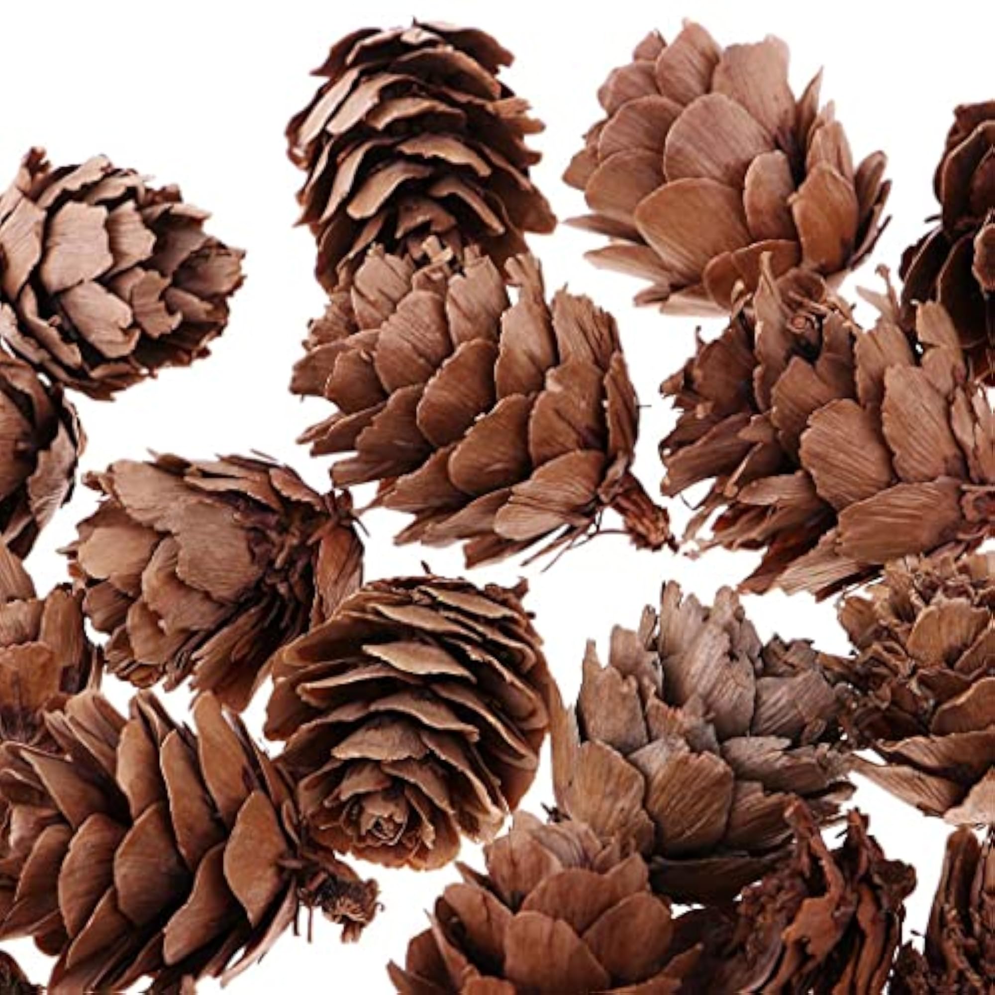 Mini Natural Pine Cones for Retro Photo Shooting Props