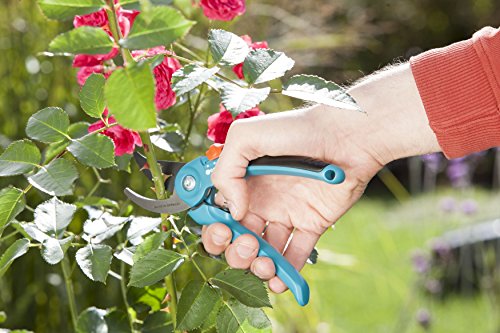 Gardena-Gartenschere Gardena Classic Gartenschere blau