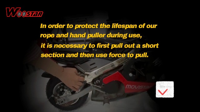 その他 m Amazon.com: WOOSTAR Recoil Pull Starter Replacement for 33cc