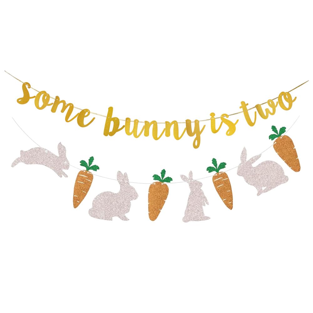 Amazon.com: KUNGOON Some Bunny Is Two with Rabbit and Carrot Banner ...