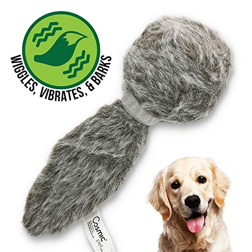 remote control squirrel dog toy
