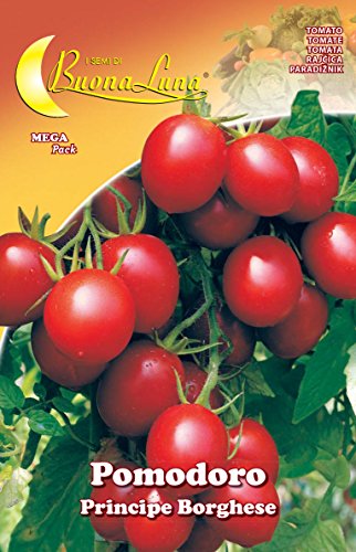 SEMI ORTO POMODORO CILIEGINO PZ 10