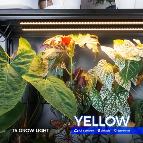 Image of Barrina T5 Grow Lights for Indoor Plants, 3FT 128W (8 X 16W) Plant Grow Lights Indoor with Magnetic Bar, Linkable Plant Growing Lamps with Black Cover, Plug and Play, Yellow, 8 Packs