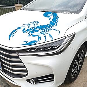 Auto Sticker Gepersonaliseerde Auto Stickers Universele Body Sticker Auto Styling Stick Auto Stickers1pcs 3D Scor Pions…