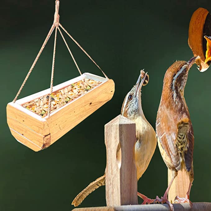 Image of LIVEONCE Wall Mounted Bamboo Feeder Hanging Balcony Feeder for Birds, Sparrow, Squirrel ((Pack of 6))