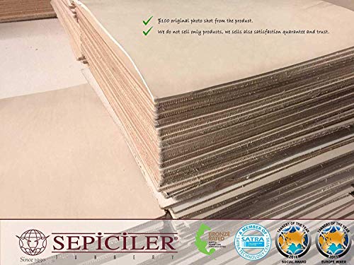 Sepici | Import Tooling Leather 5/6 Oz Pre-Cut 12X12 12X24 & 24X24 Vegetable Tanned Full Grain For Craftsman And Artisans (12"X12") #TOP1