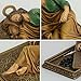 BC Catholic Sleeping Saint Joseph Statue, with Case Base, with Metal Halo,Prayer Cards Holder, Religious Gift for Dad, Patron Saint Home Decor 8.8