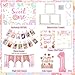 Daidle 1st Birthday Decorations for Girl, 128pcs Sweet One Birthday Party Decorations, Balloon Boxes, Party Backdrop, Photo Banner, Donuts Ice Cream Candy Balloons Garland