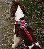 EzyDog No-Pull Hundegeschirr für Mittelgroße und Große Hunde, X- Link Anti Zug Geschirr Hund Verstellbar, Reflektierendes, Größenverstellbar, Brustgeschirr Gepolstert (M, Rot)