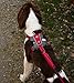 EzyDog No-Pull Hundegeschirr für Mittelgroße und Große Hunde, X- Link Anti Zug Geschirr Hund Verstellbar, Reflektierendes, Größenverstellbar, Brustgeschirr Gepolstert (M, Rot)