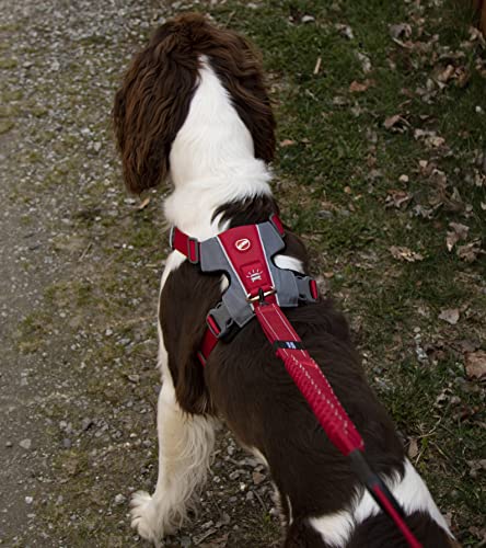 EzyDog No-Pull Hundegeschirr für Mittelgroße und Große Hunde, X- Link Anti Zug Geschirr Hund Verstellbar, Reflektierendes, Größenverstellbar, Brustgeschirr Gepolstert (M, Rot)