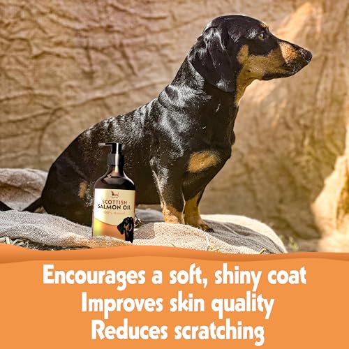 Scottish Salmon Oil for Dogs & Cats 500ml | Natural Omega 3 6 9 Fish Oil Supplement | Grain-Free Skin & Coat Support | Promotes Joint, Heart, Brain & Immune Health | Easy Pump Bottle - Image 6