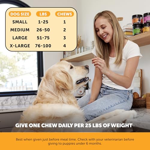 Image of Dog Allergy Relief Chews for Itchy Skin + Immune Support - Omega 3 Fish Oil, Probiotics, Turmeric + Zinc - Anti Itch Supplement for Paw Licking, Seasonal Allergies + Dry Skin (Salmon, 90 Ct)