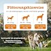 Zesty Paws Allergie & Immunität Chews | Nahrungsergänzungsmittel für Hunde | Für eine Gesunde Körperfunktion | Reich an Lachsöl Hunde & Omega 3 Öl | 90 STK