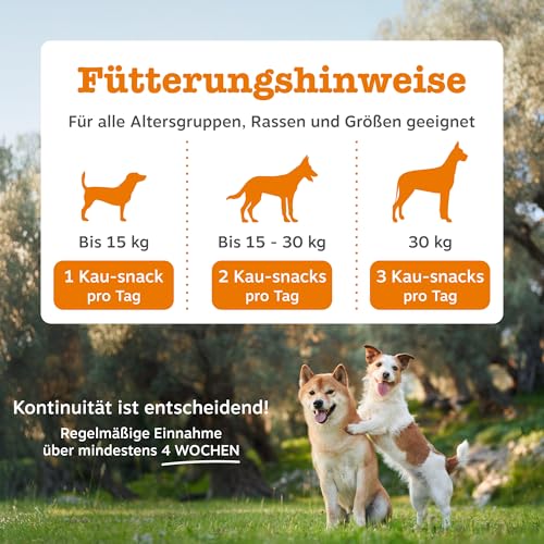 Zesty Paws Allergie & Immunität Chews | Nahrungsergänzungsmittel für Hunde | Für eine Gesunde Körperfunktion | Reich an Lachsöl Hunde & Omega 3 Öl | 90 STK