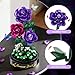 HiWEEGO Flowers Building Set with LED Light & Cover - 3.6MM Purple Rose Valentines Day Gift for Her Girlfriend Wife 215 PCS Artificial Bouquet Botanical Collection Mini Building Block Toy Home Decors