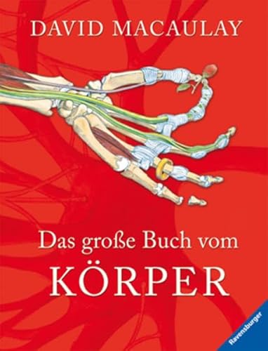 Preisvergleich Produktbild Das große Buch vom Körper