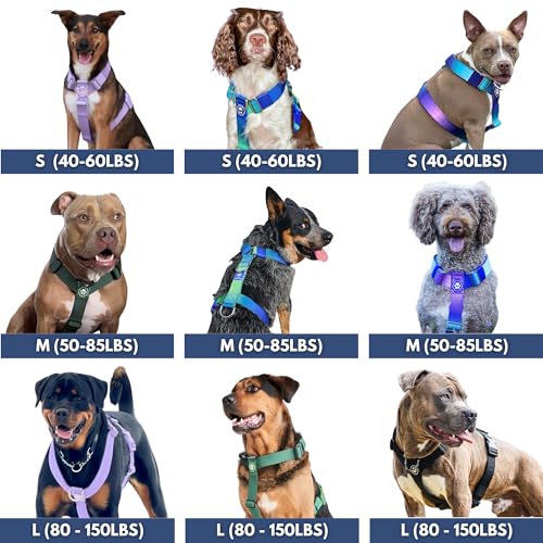 Image of Spark Paws Grab & Go No Pull Dog Harness for Large Dogs, Heavy Duty Dog Harness for Big Strong Breeds, Adjustable, Y Shaped Padded Halter Design with Front Clip - 90s Retro - M