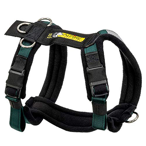 Alpine Outfitters Urban Trail Adjustable Harness (Large, Teal)