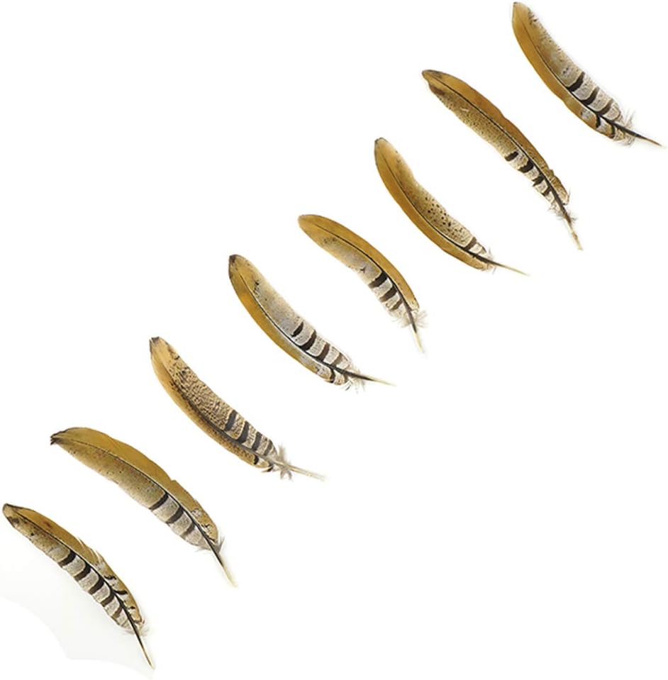 ZUCKER Pheasant Tail Feather Craft Supplies - 6-8" Natural Golden Brown Home Decor 12pcs