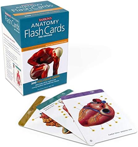 Anatomy Flash Cards (Barron's Test Prep)