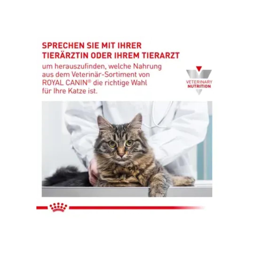 Royal Canin Veterinary Urinary S/O | Pack Double | 2 x 400 g | Croquettes Chats | pour Le Soutien des Voies urinaires | en Cas de Cristaux de Struvite | Teneur réduite en magnésium
