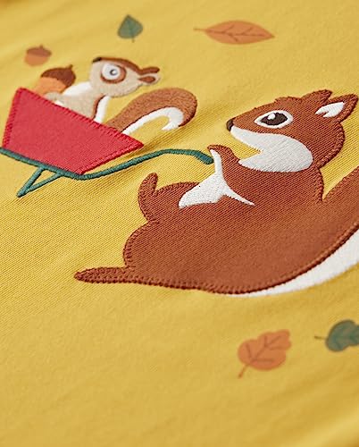 Image of Gymboree Boys and Toddler Embroidered Graphic Long Sleeve Layered T-Shirts