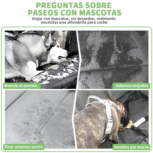 Mascotas, Imagen adicional